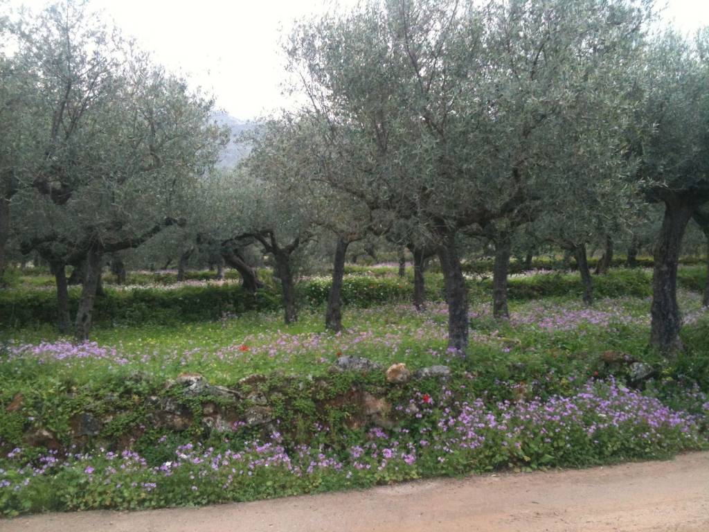 Εσωτερικοι χώροι