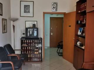 Systegazomeno epiplomeno grapheio