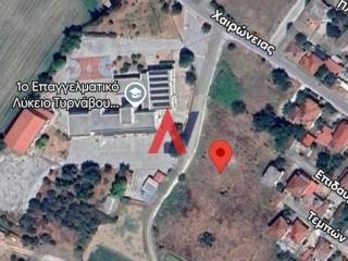 1392 ταφεκη.jpeg