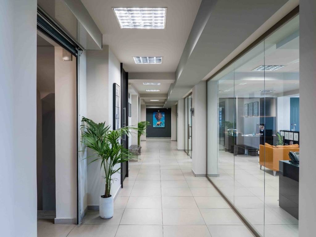 Koinochrestoi choroi