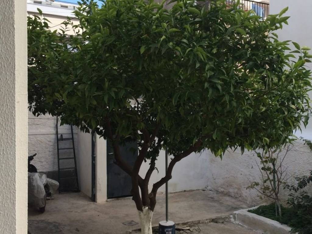 Εξωτερικός χώρος