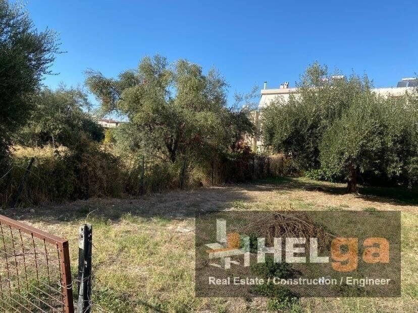 Αποψη χώρου