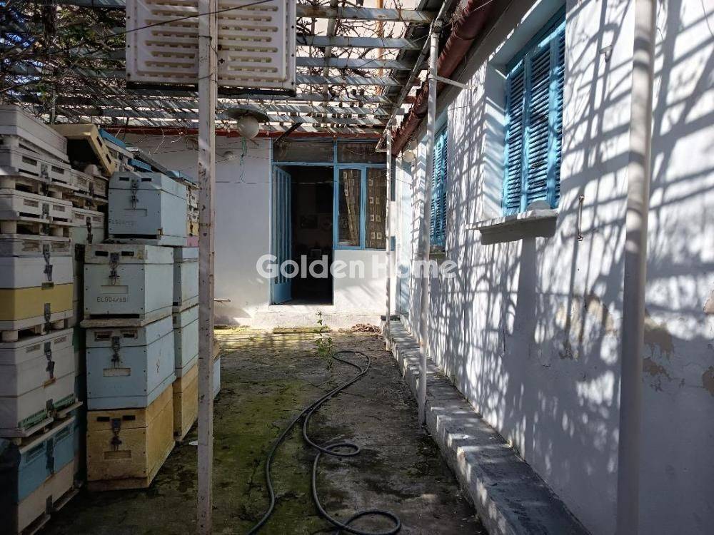 Εξωτερικός Χώρος