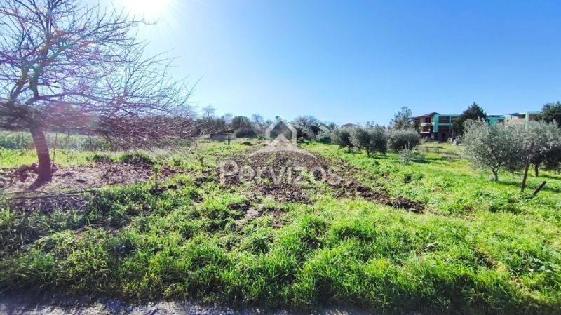 Άποψη χώρου,Πρόσοψη