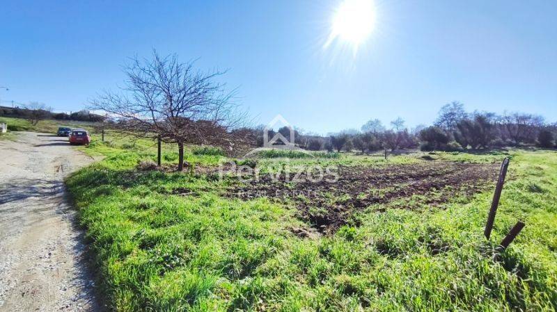 Άποψη χώρου,Δρόμος