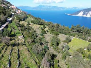 Aerial views and location of the plot
