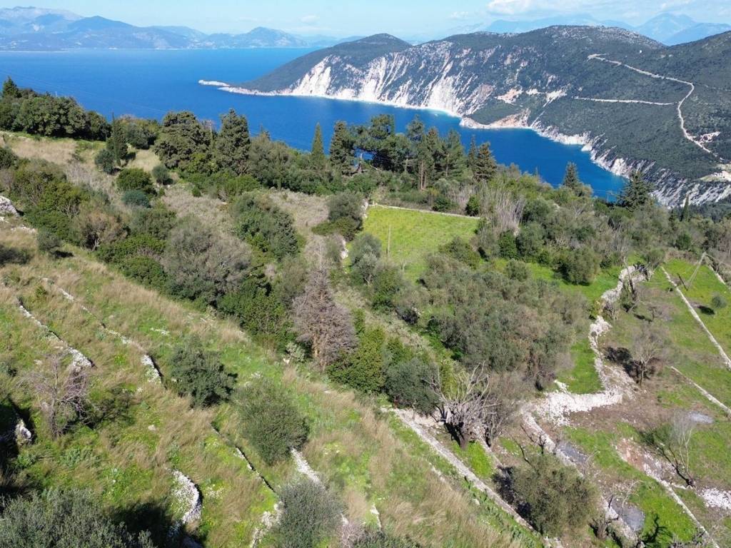 Aerial view of the plot and Afales bay