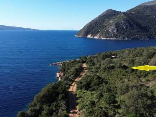 Aerial view and location of the plot