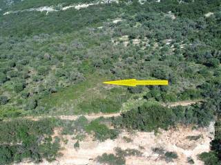 Aerial view of the plot