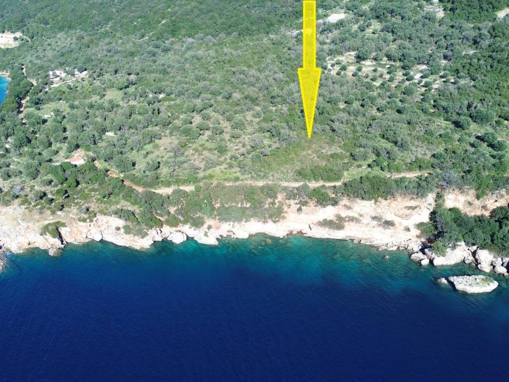 Aerial view of the plot