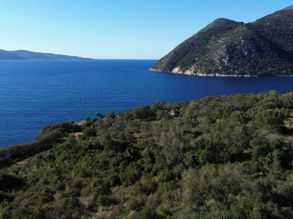 Aerial view from the plot