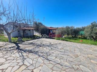 Νέα Ποτίδαια - Κτίσμα σε ένα στρέμμα - Τιμή 105.000