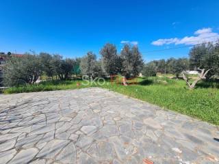 Νέα Ποτίδαια - Κτίσμα σε ένα στρέμμα - Τιμή 105.000