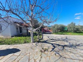 Νέα Ποτίδαια - Κτίσμα σε ένα στρέμμα - Τιμή 105.000