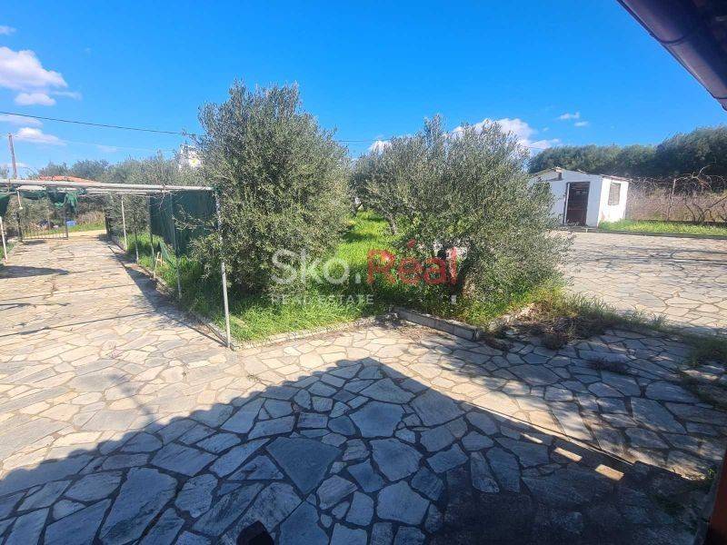 Νέα Ποτίδαια - Κτίσμα σε ένα στρέμμα - Τιμή 105.000