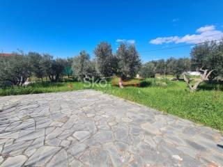 Νέα Ποτίδαια - Κτίσμα σε ένα στρέμμα - Τιμή 105.000