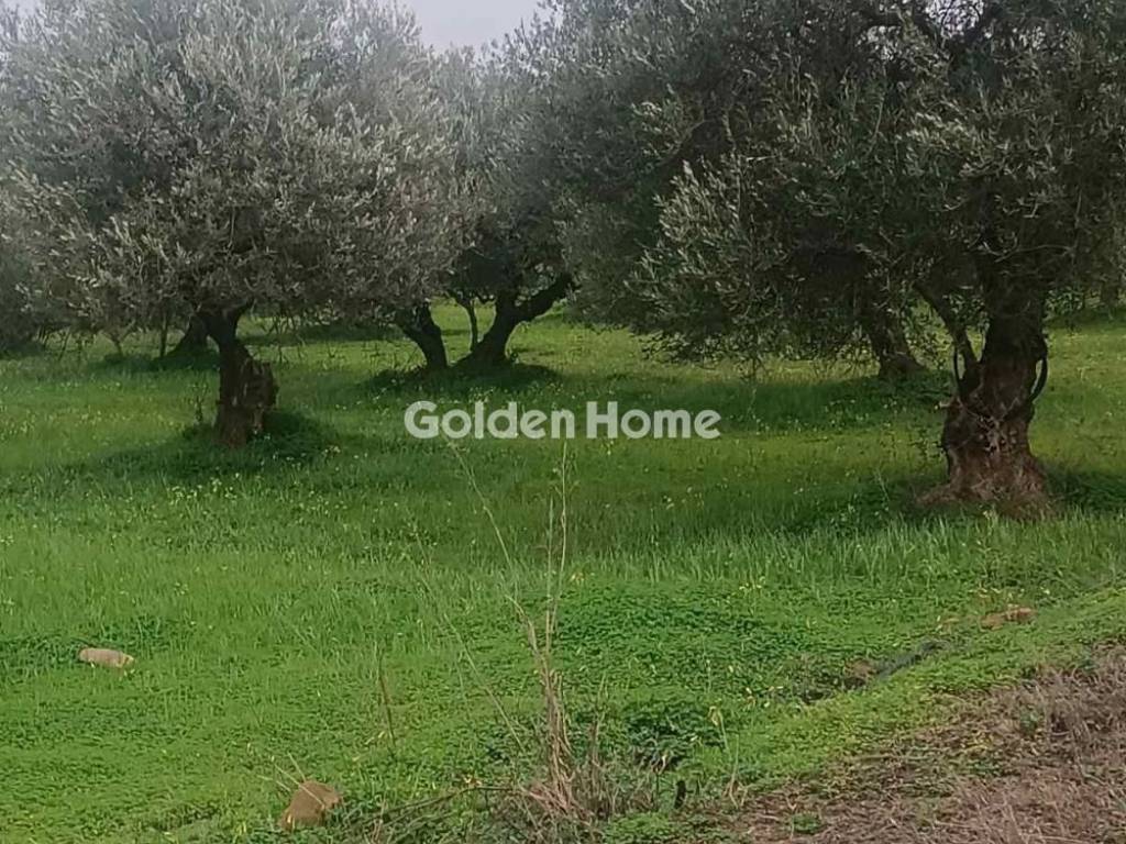 Εξωτερικός Χώρος