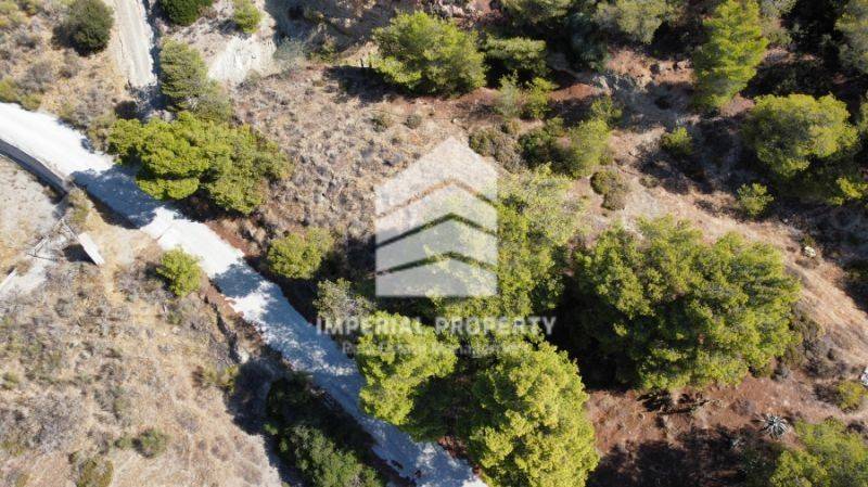 Ύπαρξη ανθρώπου