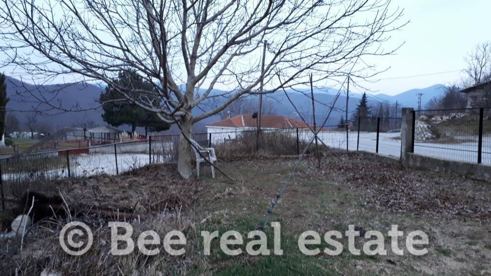 Άποψη εξωτερικού χώρου