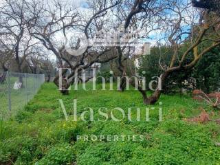 Εξωτερικοι χώροι