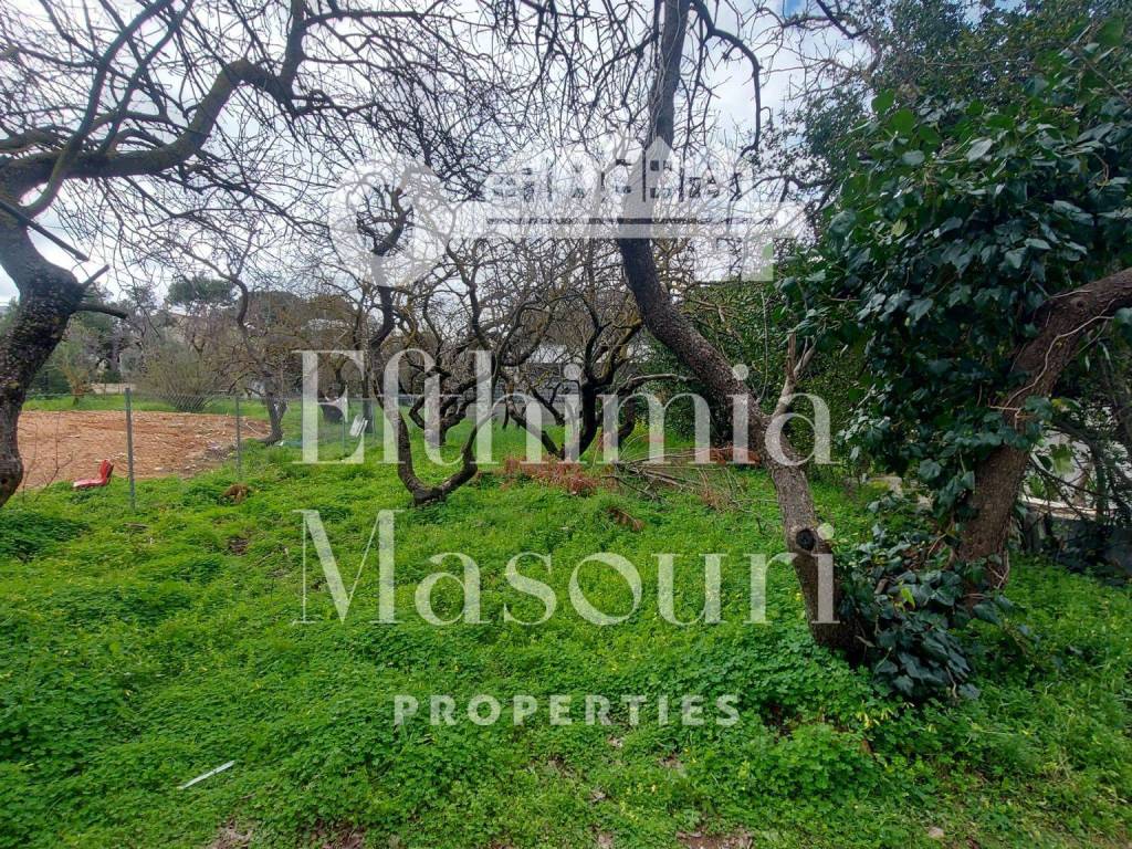 Εξωτερικοι χώροι