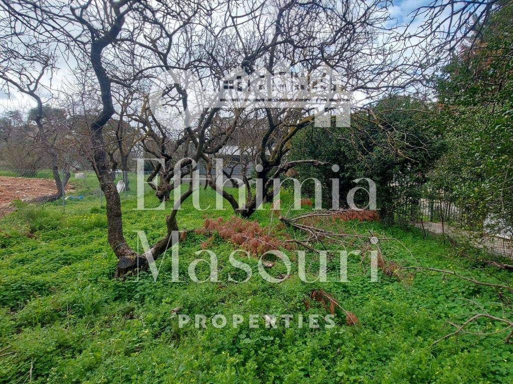 Εξωτερικοι χώροι