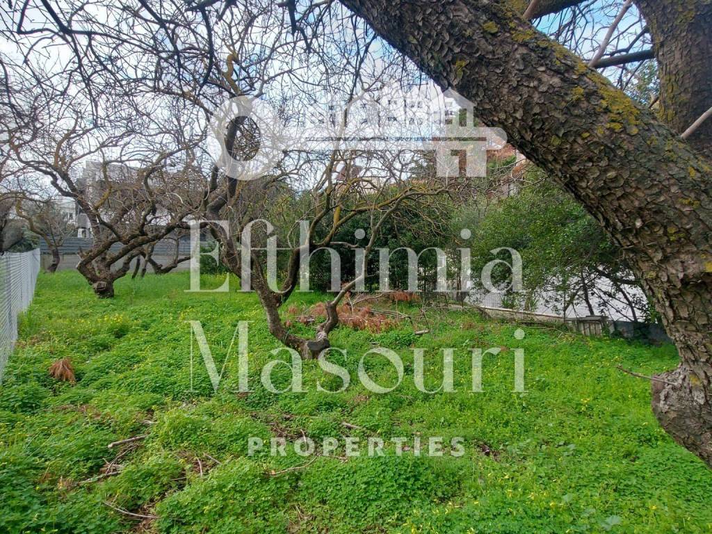 Εξωτερικοι χώροι