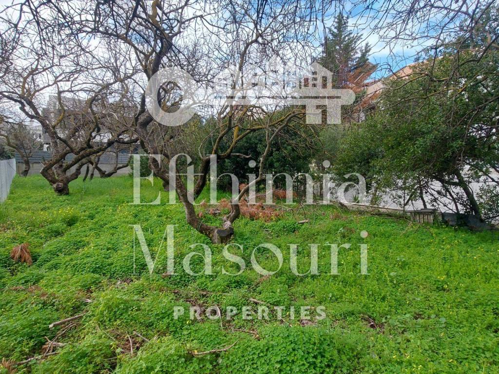 Εξωτερικοι χώροι