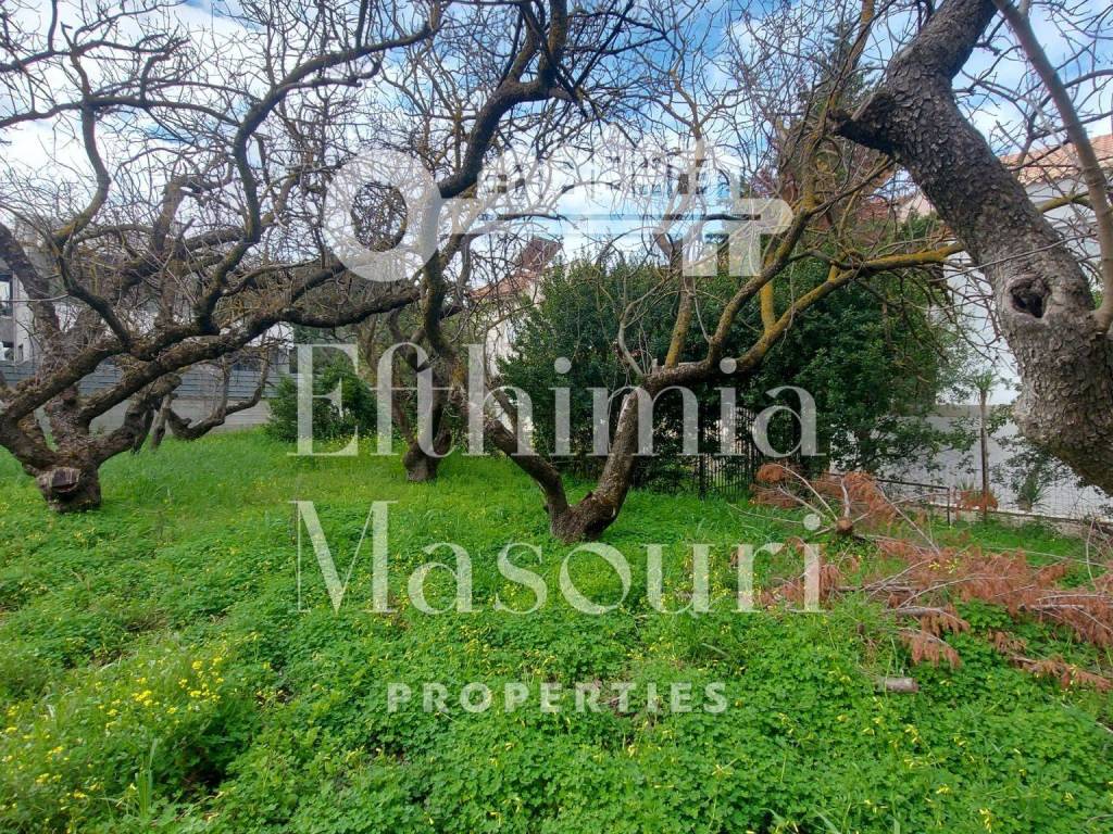 Εξωτερικοι χώροι