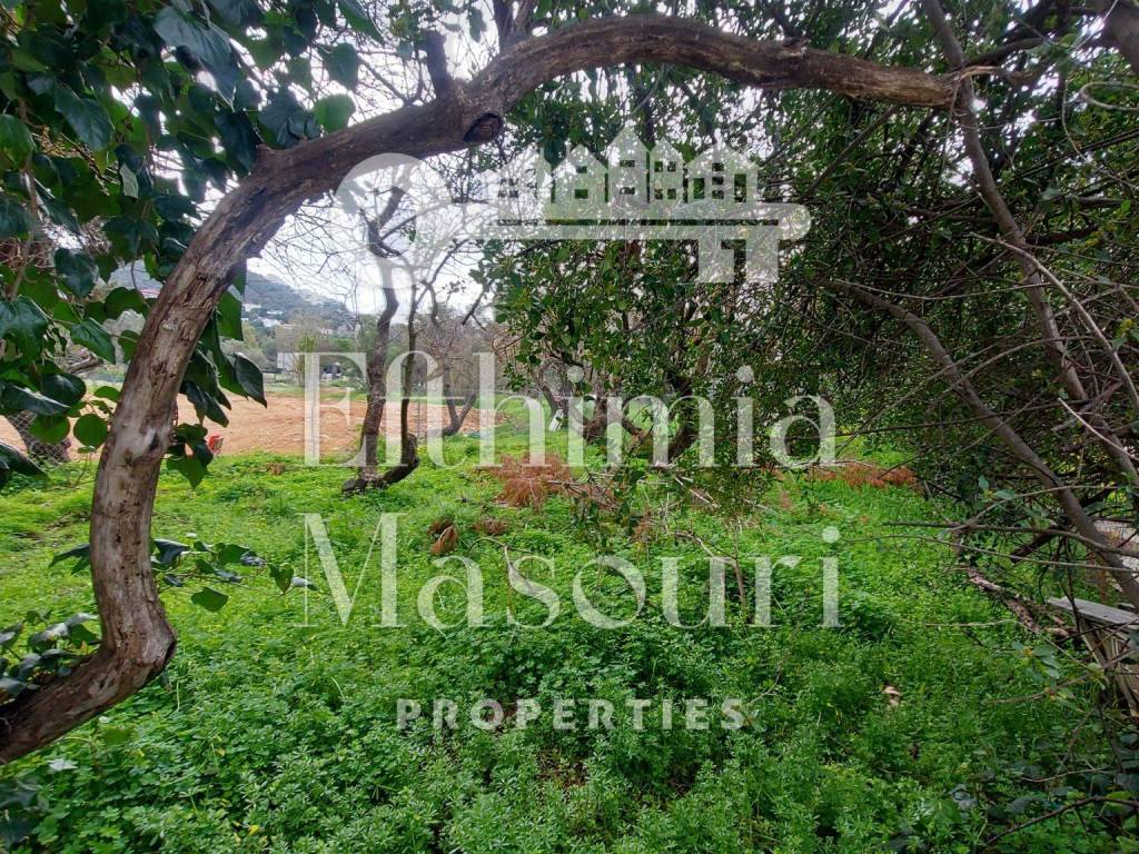 Εξωτερικοι χώροι