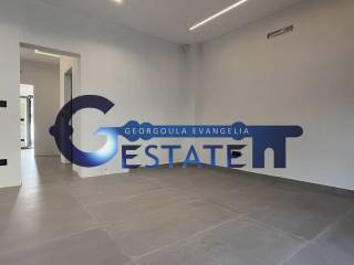 Σαλοκουζίνα