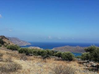 Plot - Grekodom 19935|253572