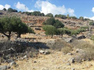 Plot - Grekodom 19935|253573