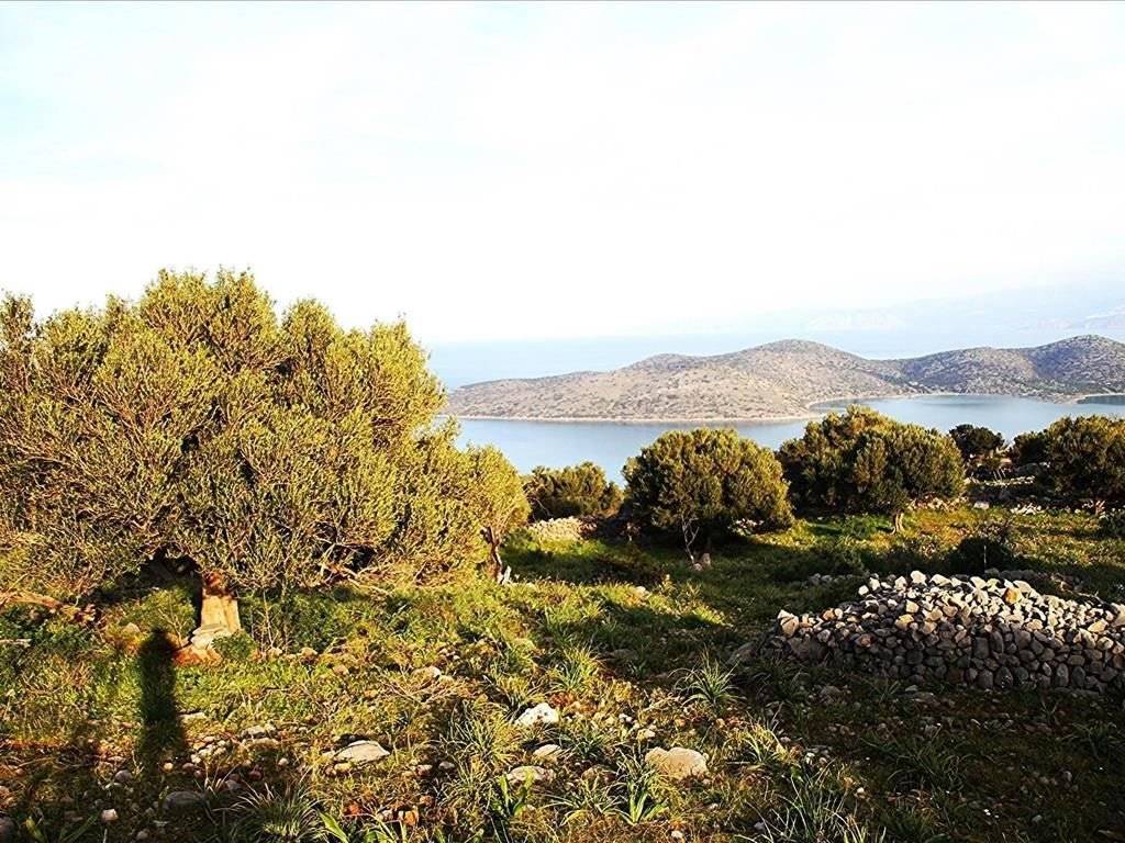 Plot - Grekodom 19935|257297