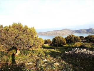 Plot - Grekodom 19935|257297