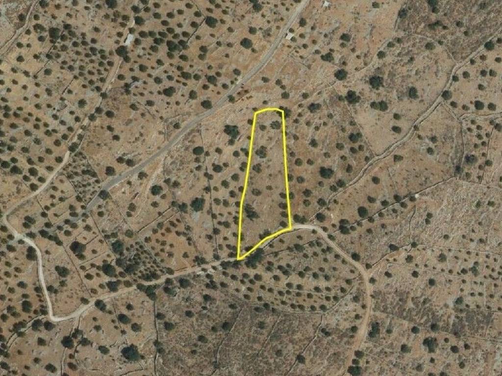 Plot - Grekodom 19935|824554