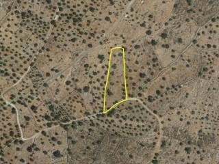 Plot - Grekodom 19935|824554