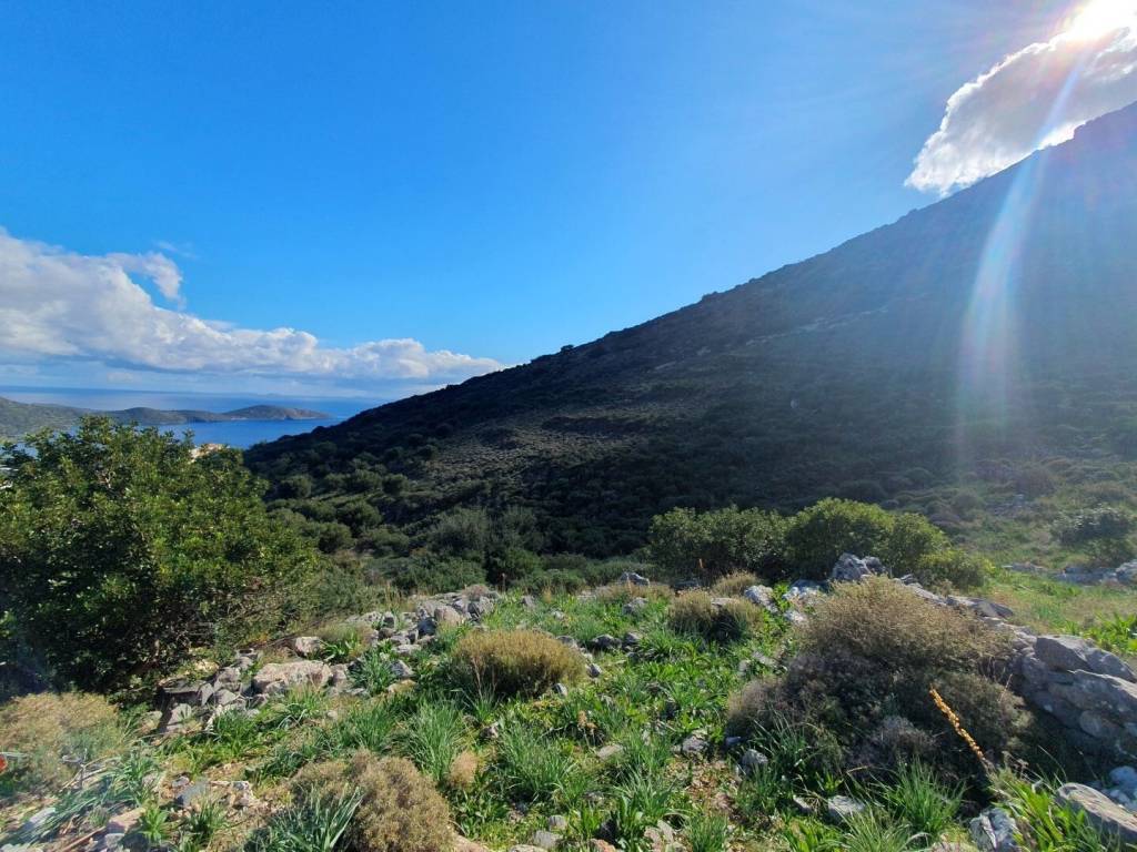 Plot - Grekodom 52126|761202