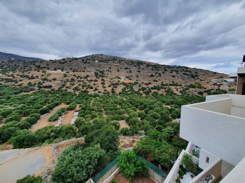 Hotel - Grekodom 51186|754461