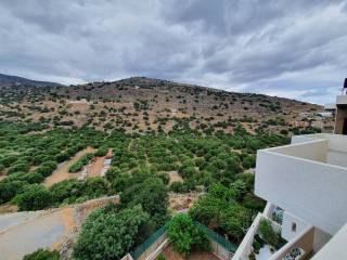 Hotel - Grekodom 51186|754461