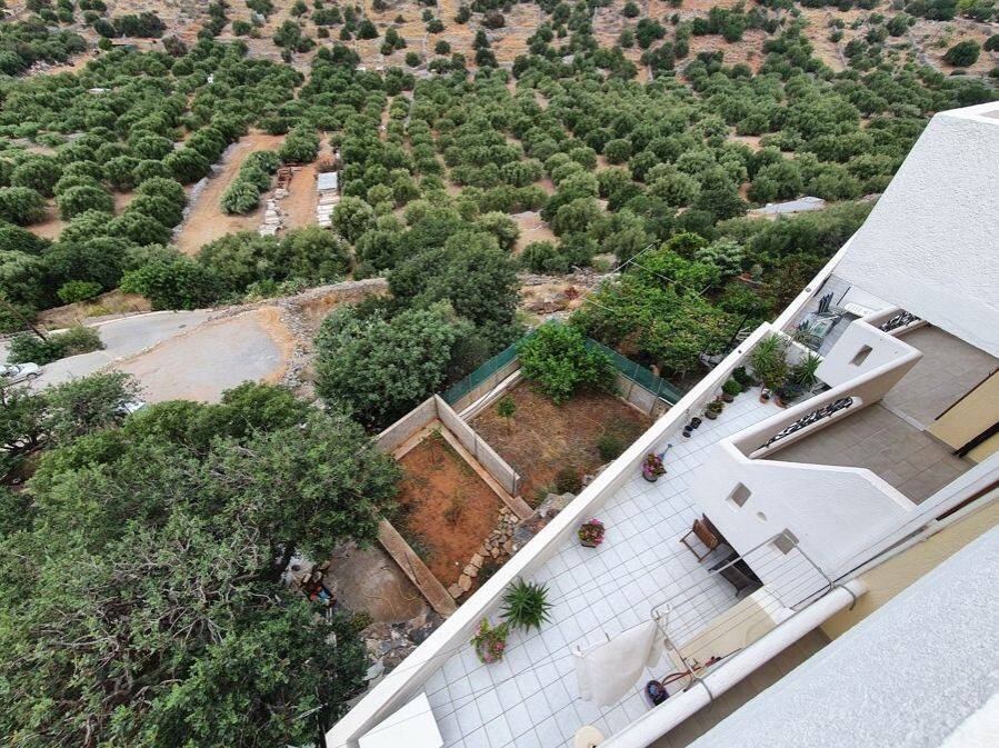 Hotel - Grekodom 51186|754465