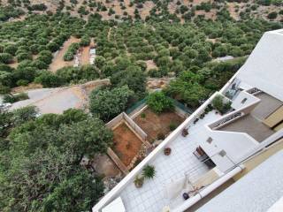 Hotel - Grekodom 51186|754465