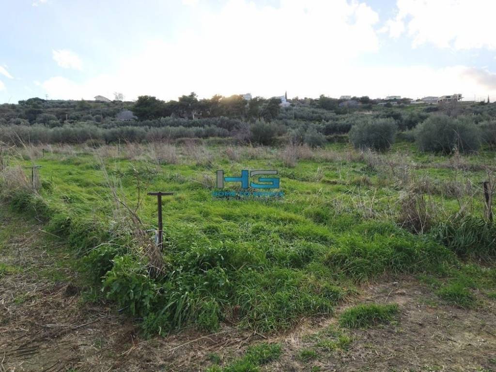 Embadon: > 6.000 t.m.