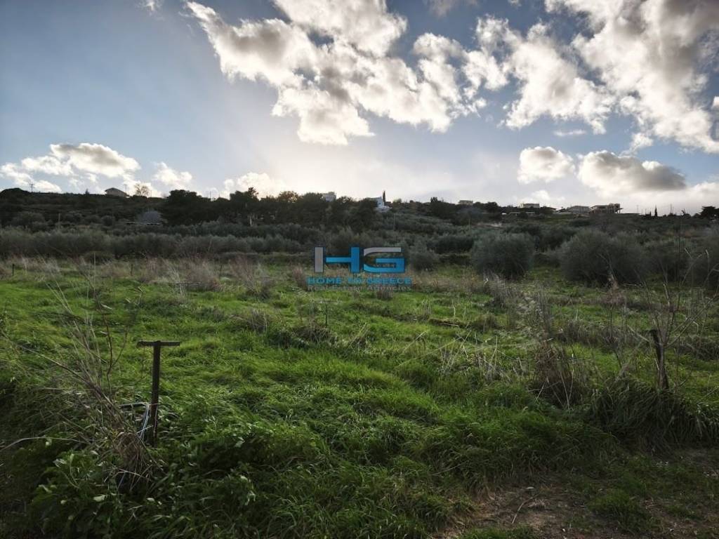 Embadon: > 6.000 t.m.