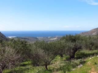 Θέα θάλασσα από το χωράφι