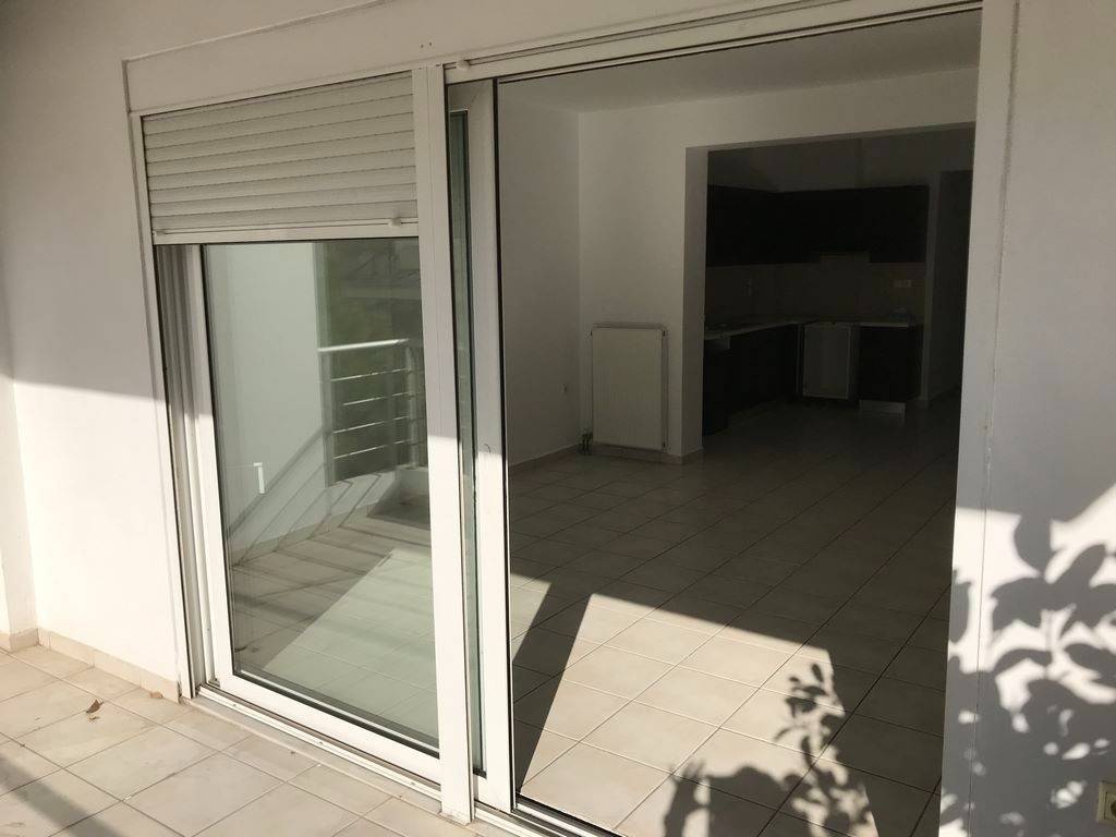 Saloni typikoy orophoy