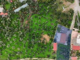 Ύπαρξη ανθρώπου