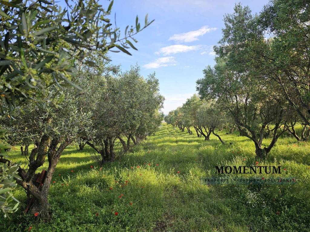 Εξωτερικοι χώροι