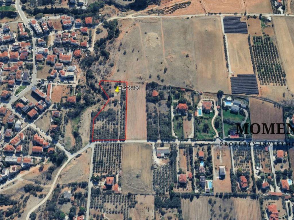 Εξωτερικοι χώροι