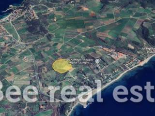 Άποψη εξωτερικού χώρου